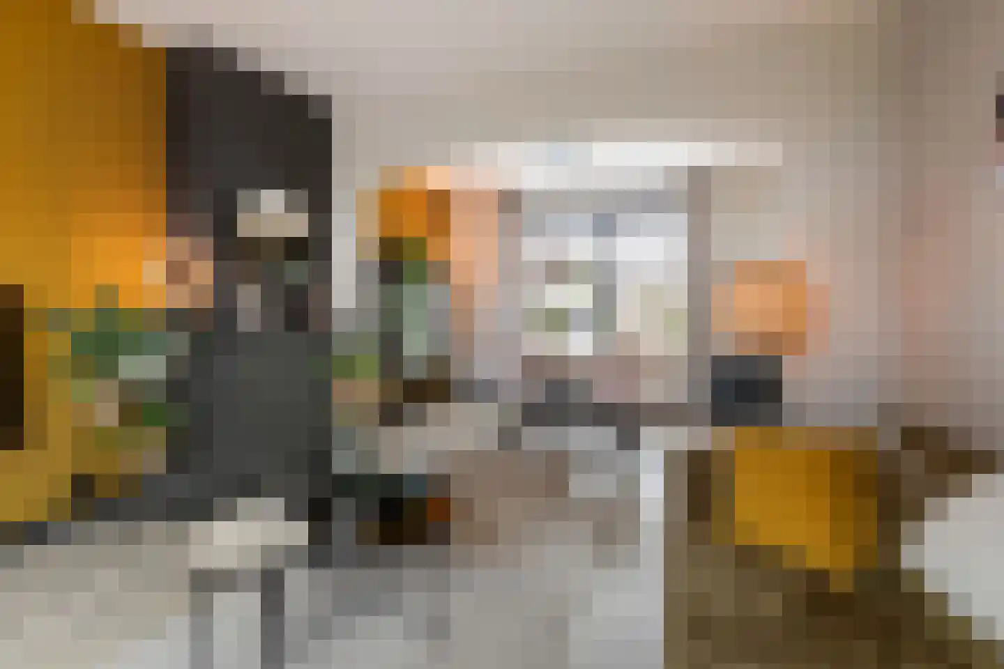 de Wieken 24 Raalte thumbnail 7