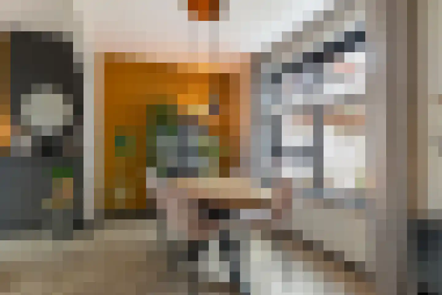 de Wieken 24 Raalte thumbnail 8