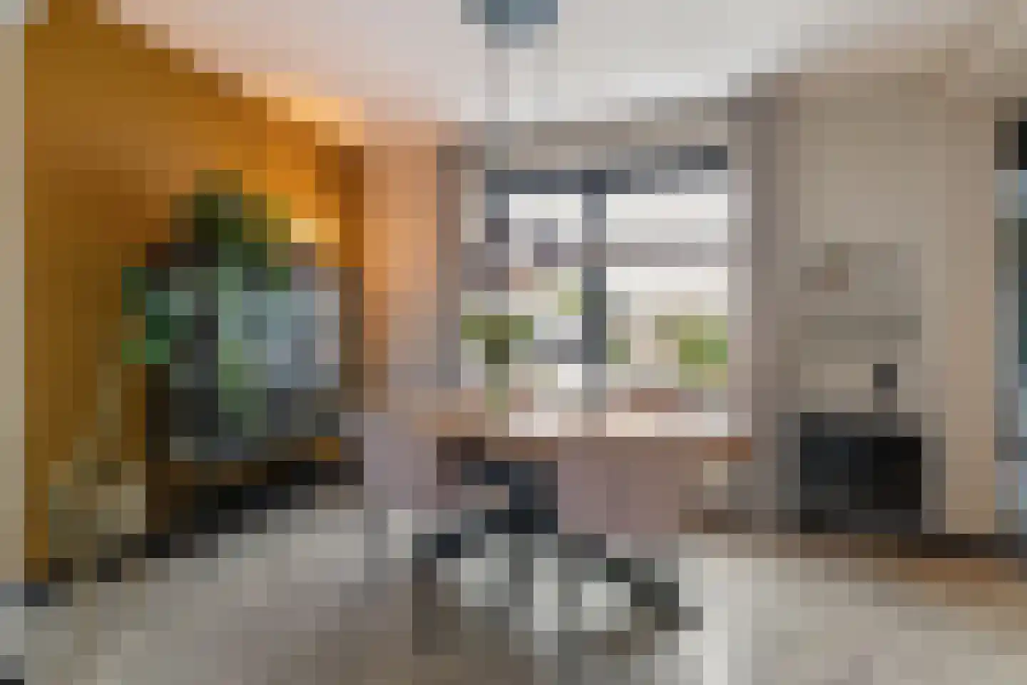 de Wieken 24 Raalte thumbnail 9