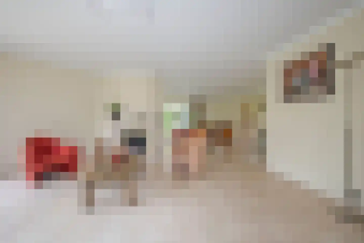 De Wieken 25 Delden thumbnail 11