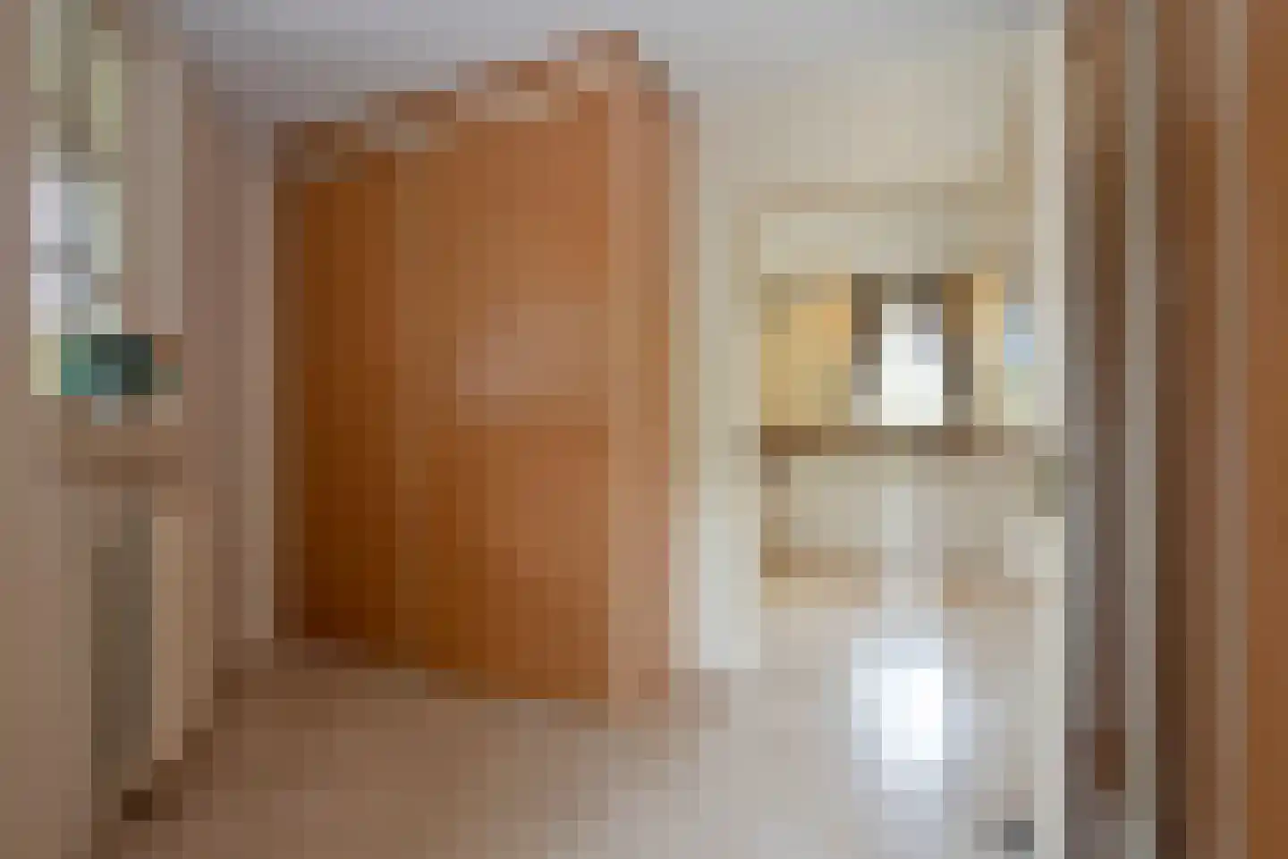 De Wieken 25 Delden thumbnail 17
