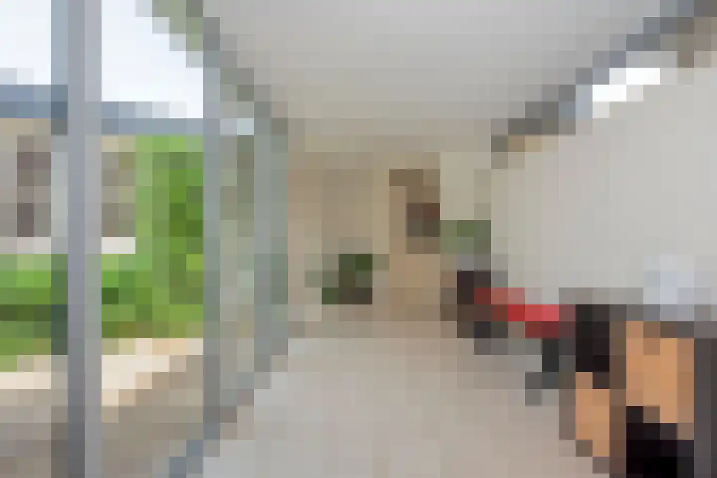 De Wieken 25 Delden thumbnail 18