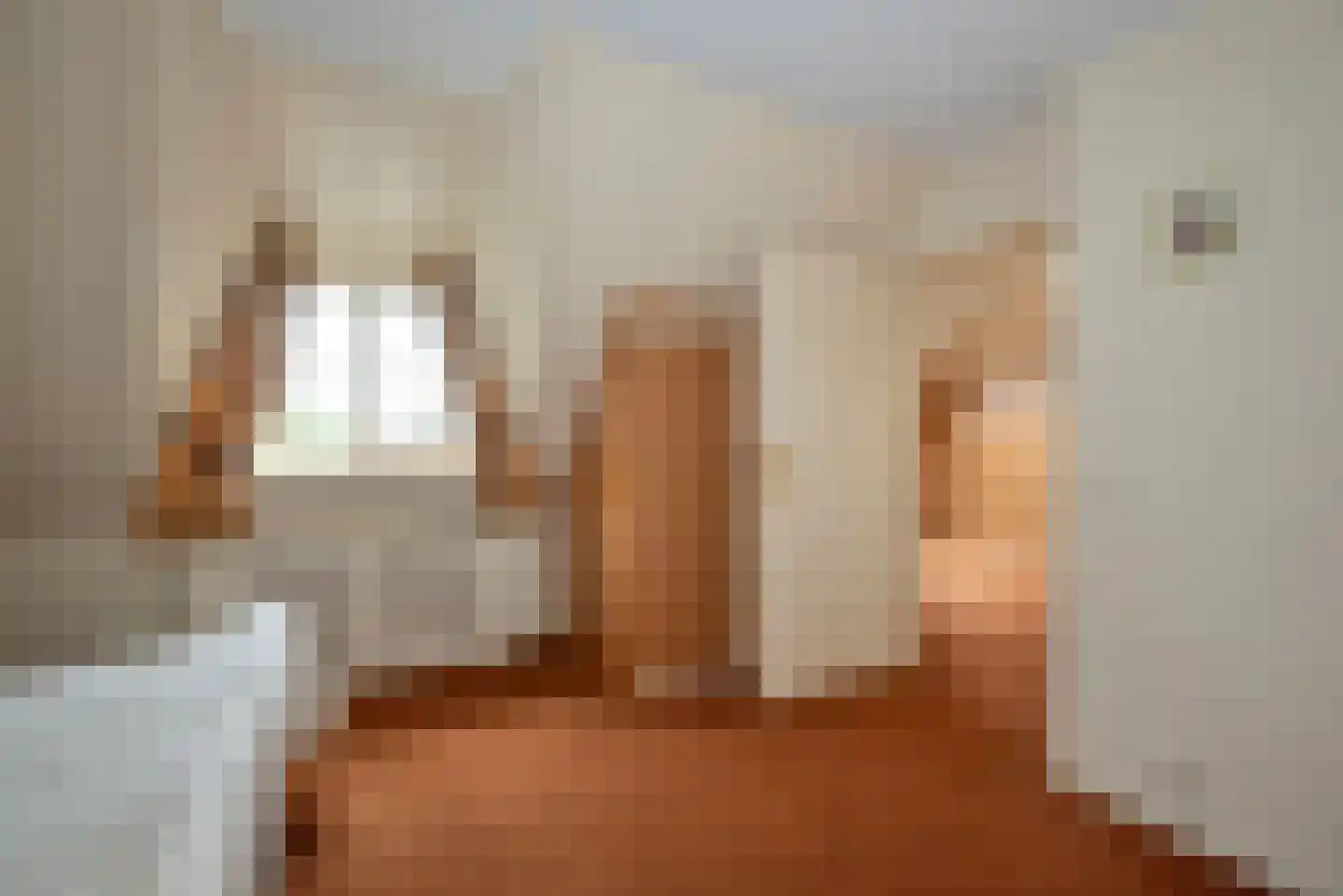 De Wieken 25 Delden thumbnail 28