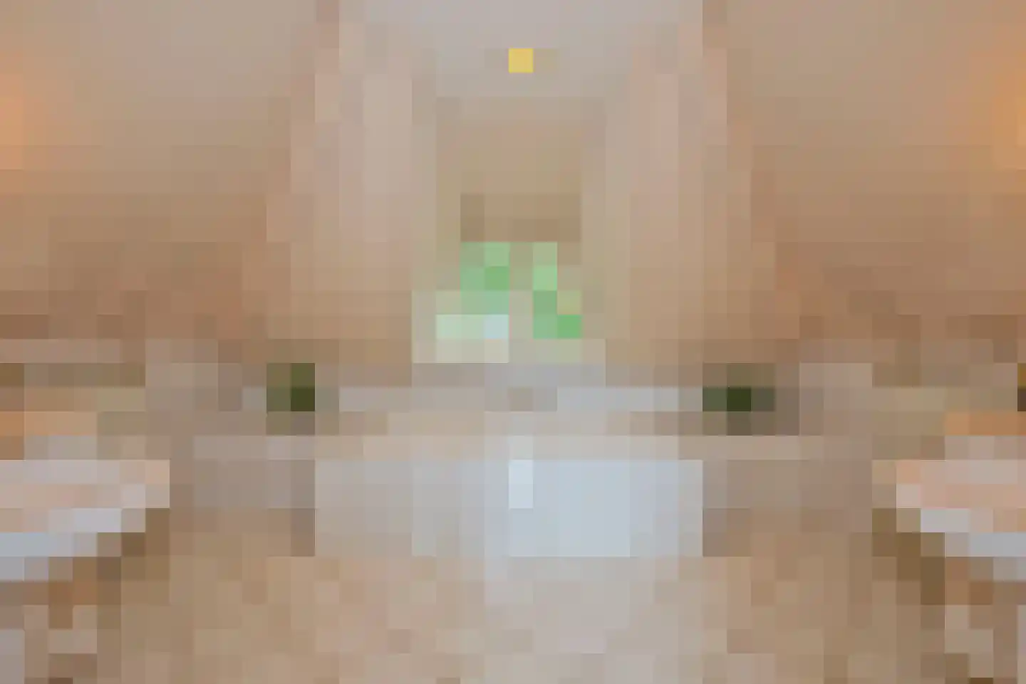 De Wieken 25 Delden thumbnail 29