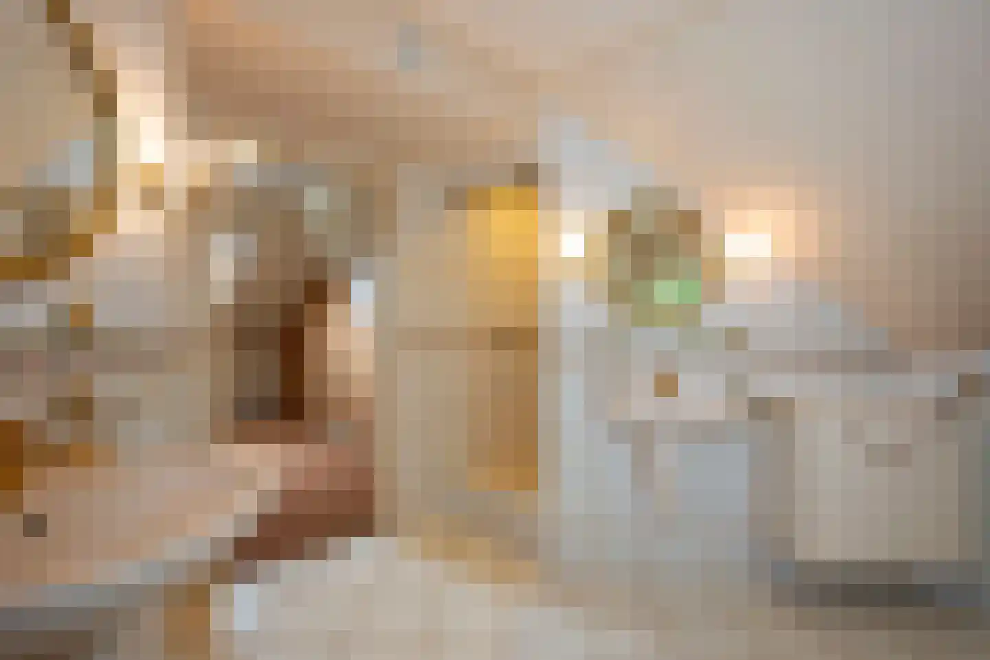 De Wieken 25 Delden thumbnail 30