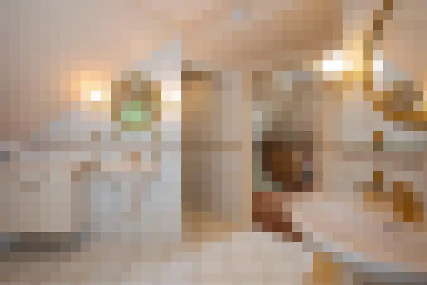 De Wieken 25 Delden thumbnail 31