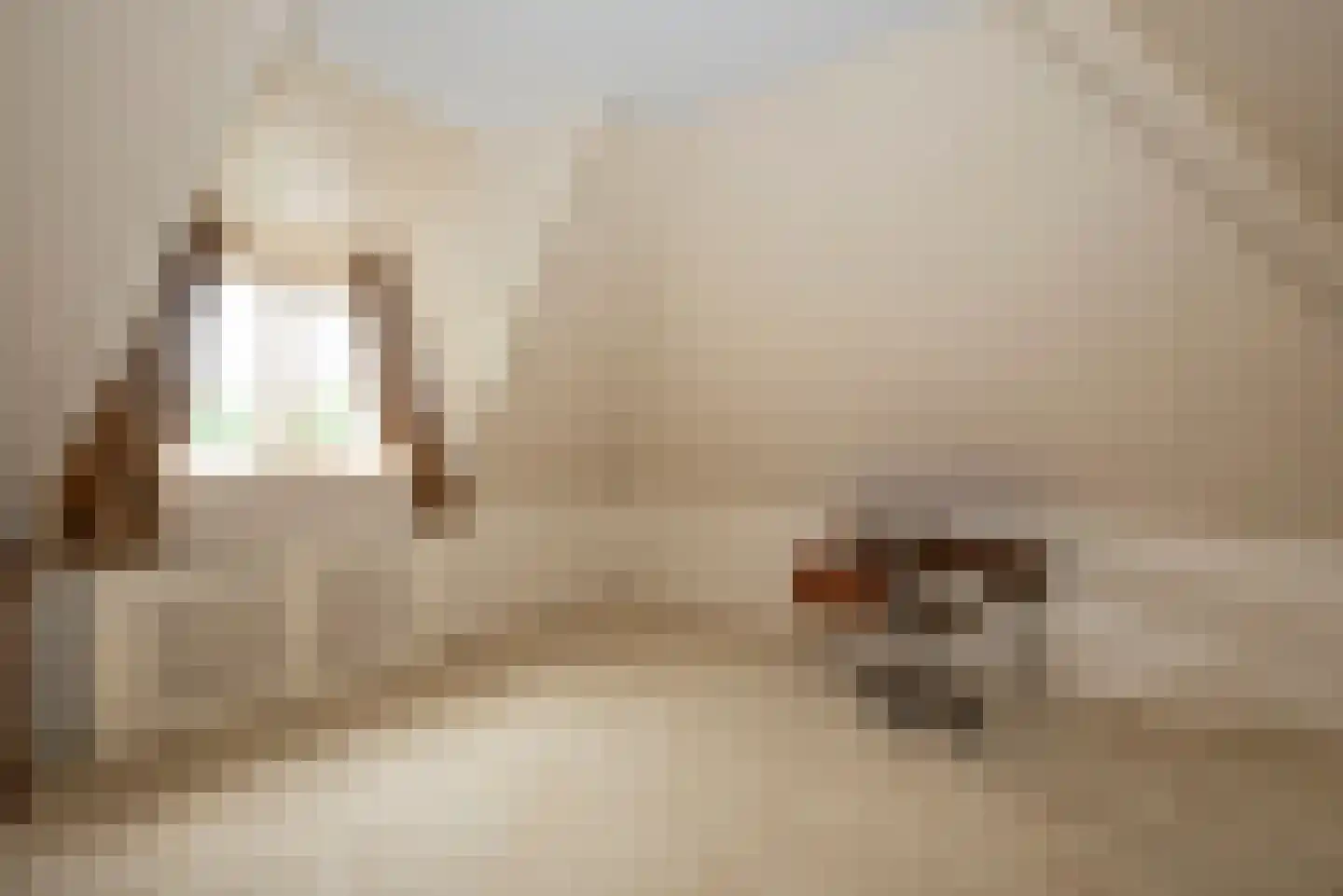 De Wieken 25 Delden thumbnail 32