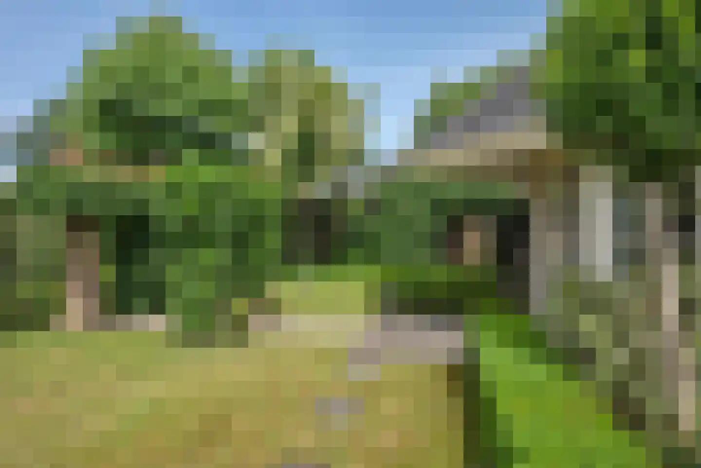 De Wieken 25 Delden thumbnail 36