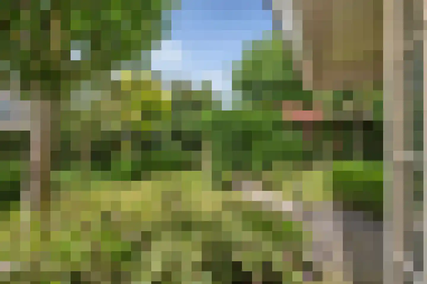De Wieken 25 Delden thumbnail 37