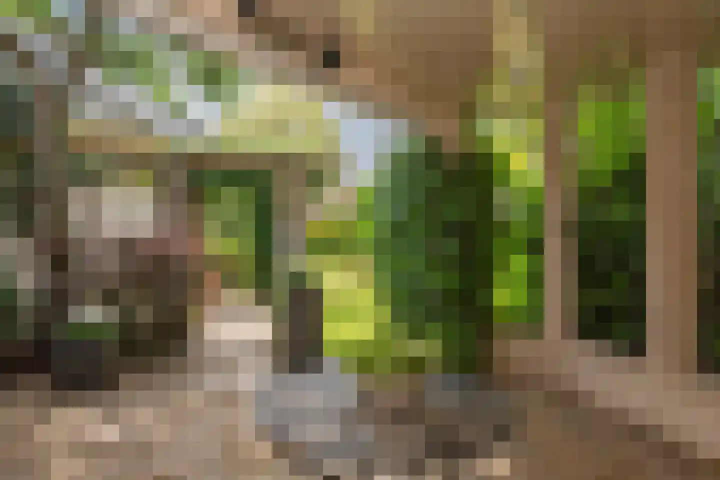 De Wieken 25 Delden thumbnail 40