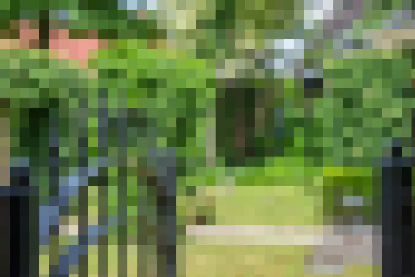 De Wieken 25 Delden thumbnail 42