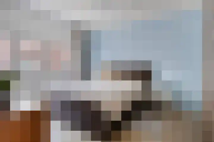 de Wieken 26 Helmond thumbnail 4