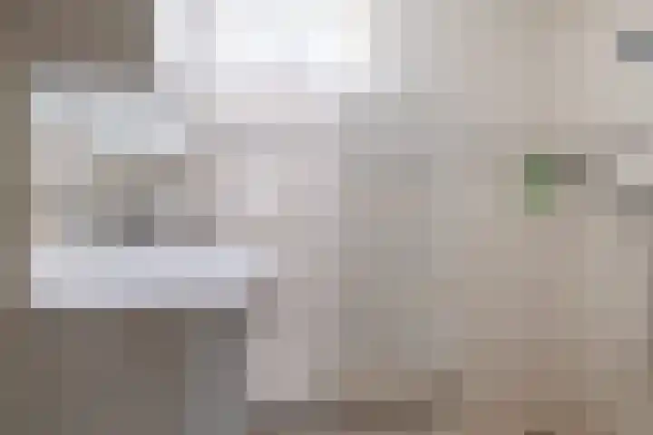 De Wieken 26 Klazienaveen thumbnail 18