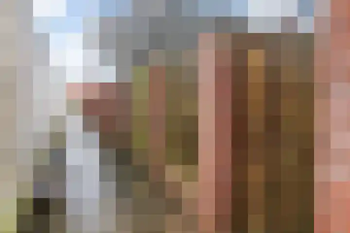 De Wieken 26 Klazienaveen thumbnail 29