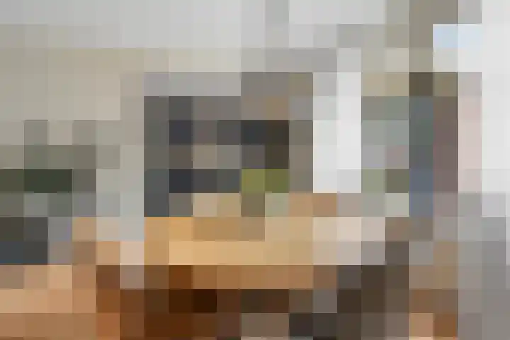 De Wieken 29 Klazienaveen thumbnail 11