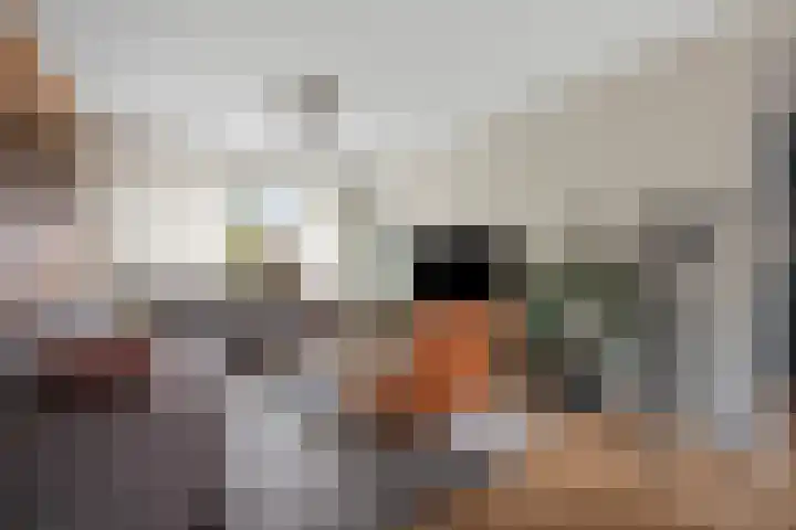 De Wieken 29 Klazienaveen thumbnail 13