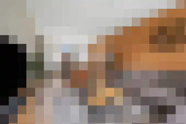 De Wieken 29 Klazienaveen thumbnail 15