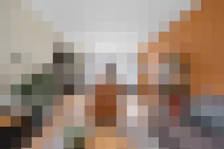 De Wieken 29 Klazienaveen thumbnail 17