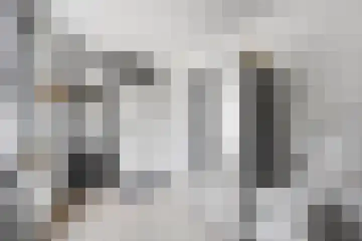De Wieken 29 Klazienaveen thumbnail 19