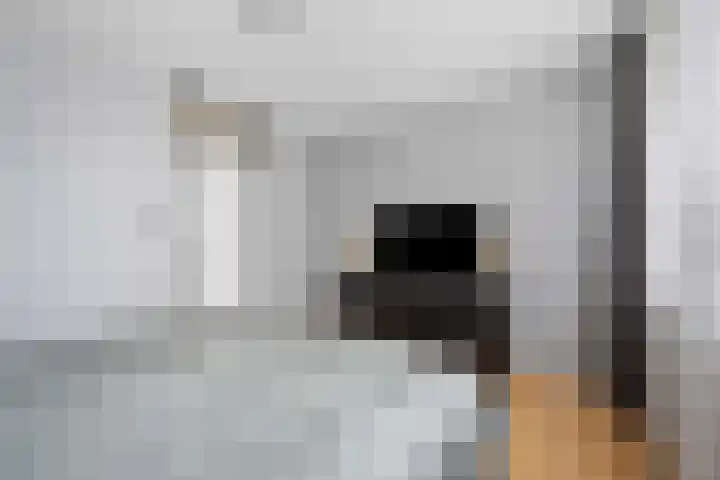De Wieken 29 Klazienaveen thumbnail 23