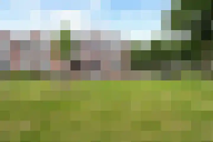 De Wieken 29 Klazienaveen foto 3