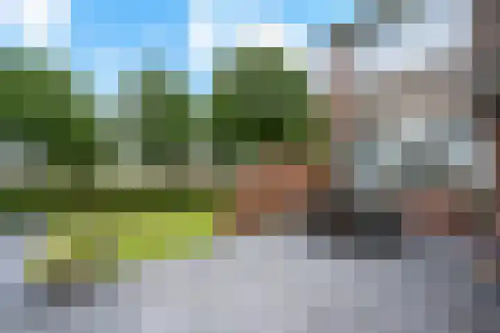 De Wieken 29 Klazienaveen thumbnail 33