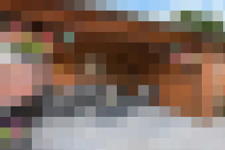 De Wieken 29 Klazienaveen thumbnail 34