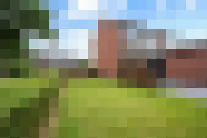 De Wieken 29 Klazienaveen thumbnail 38