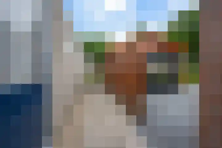 De Wieken 29 Klazienaveen thumbnail 39