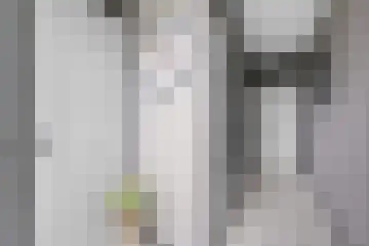 De Wieken 29 Klazienaveen thumbnail 4