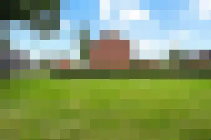 De Wieken 29 Klazienaveen thumbnail 40