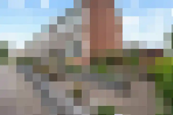 De Wieken 29 Klazienaveen thumbnail 41