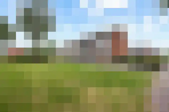 De Wieken 29 Klazienaveen thumbnail 42