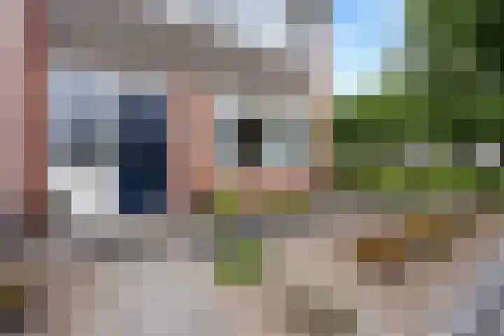 De Wieken 29 Klazienaveen thumbnail 44