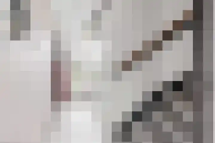 De Wieken 29 Klazienaveen thumbnail 5