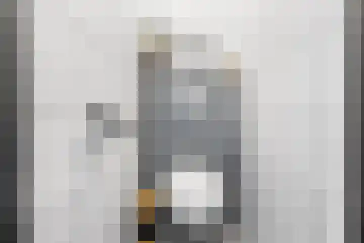 De Wieken 29 Klazienaveen thumbnail 6