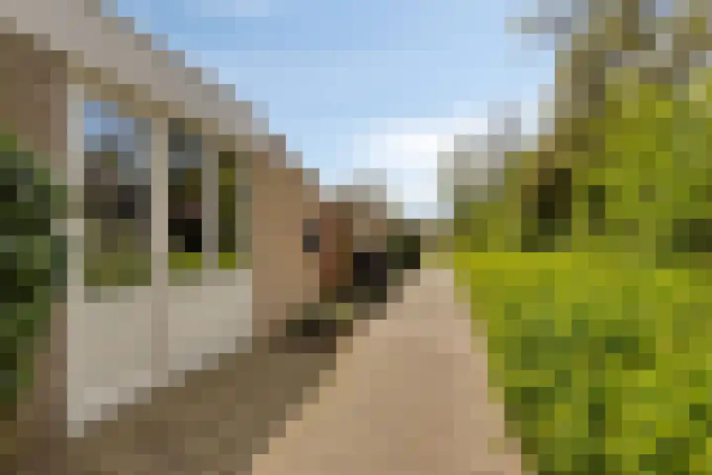 de Wieken 3 in Bergeijk