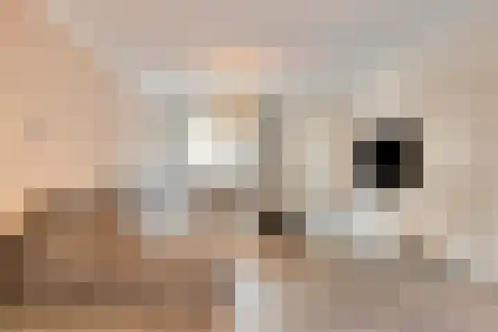 De Wieken 3 Beek en Donk thumbnail 10