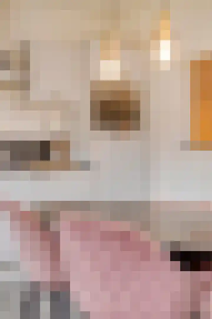 De Wieken 3 Beek en Donk thumbnail 15
