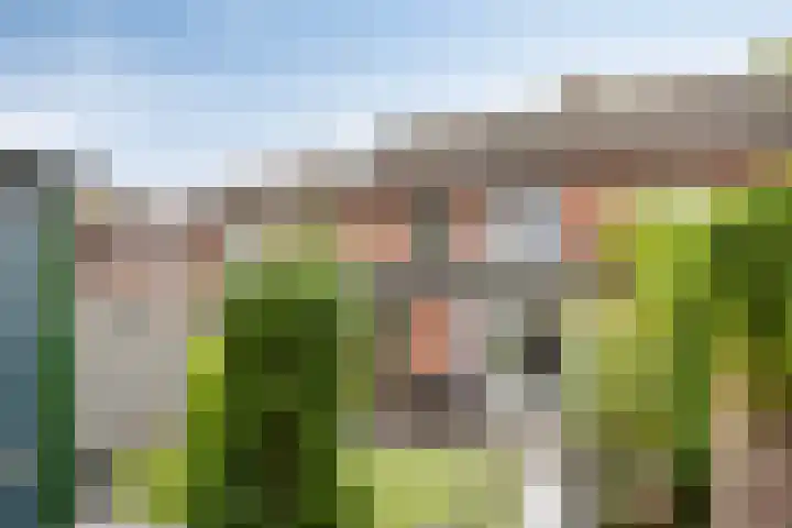 De Wieken 3 Beek en Donk thumbnail 21
