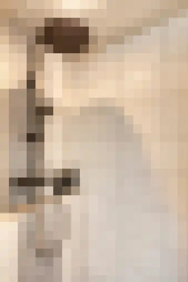 De Wieken 3 Beek en Donk thumbnail 25