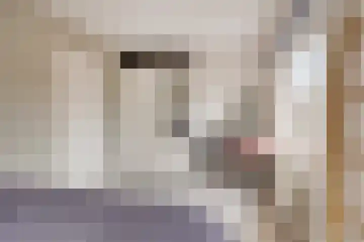 De Wieken 3 Beek en Donk thumbnail 28