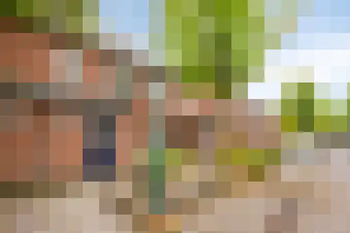 De Wieken 3 Beek en Donk thumbnail 31