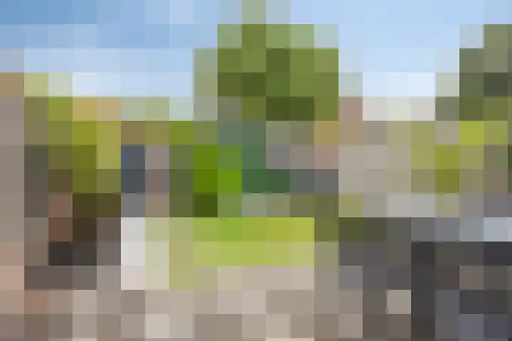 De Wieken 3 Beek en Donk thumbnail 4