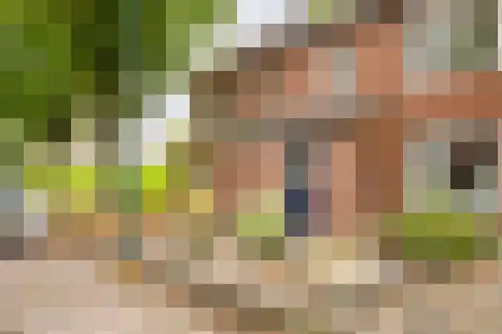 De Wieken 3 Beek en Donk thumbnail 5