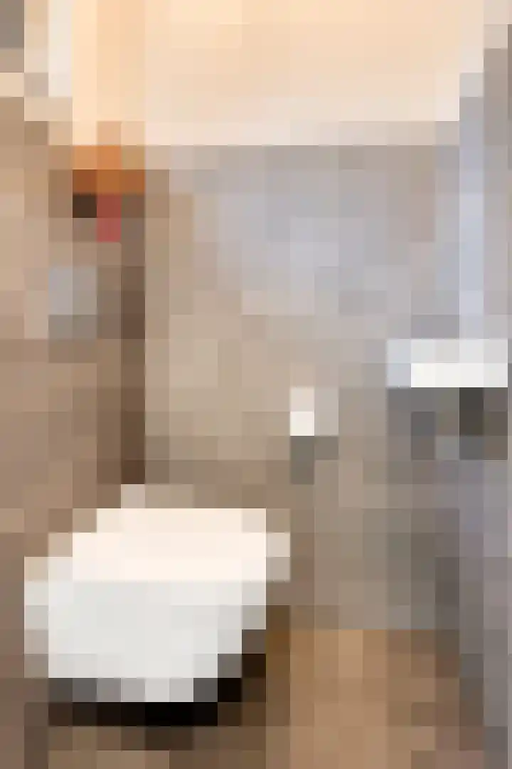 De Wieken 3 Beek en Donk thumbnail 8