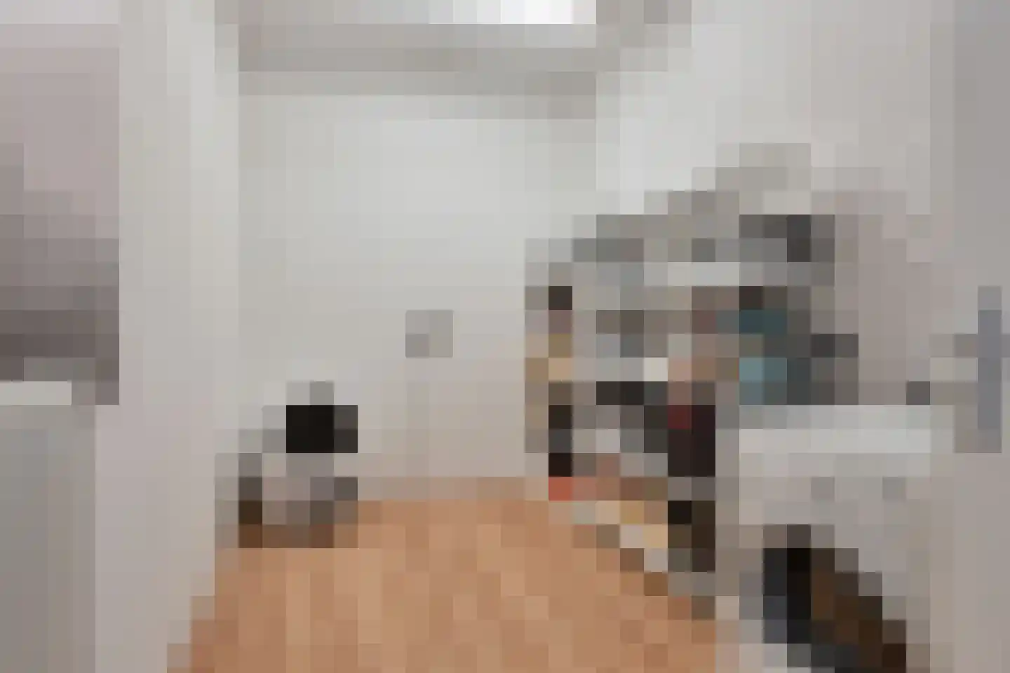 de Wieken 3 Bergeijk thumbnail 15