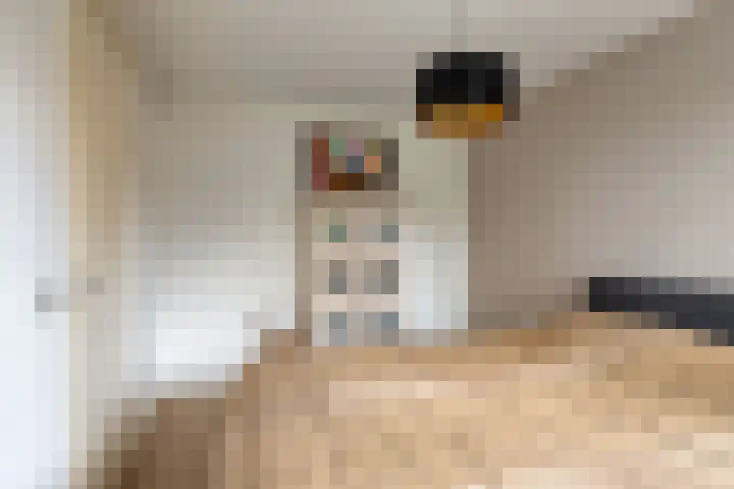 de Wieken 3 Bergeijk thumbnail 18