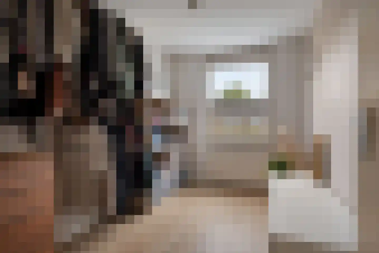 de Wieken 3 Bergeijk thumbnail 21
