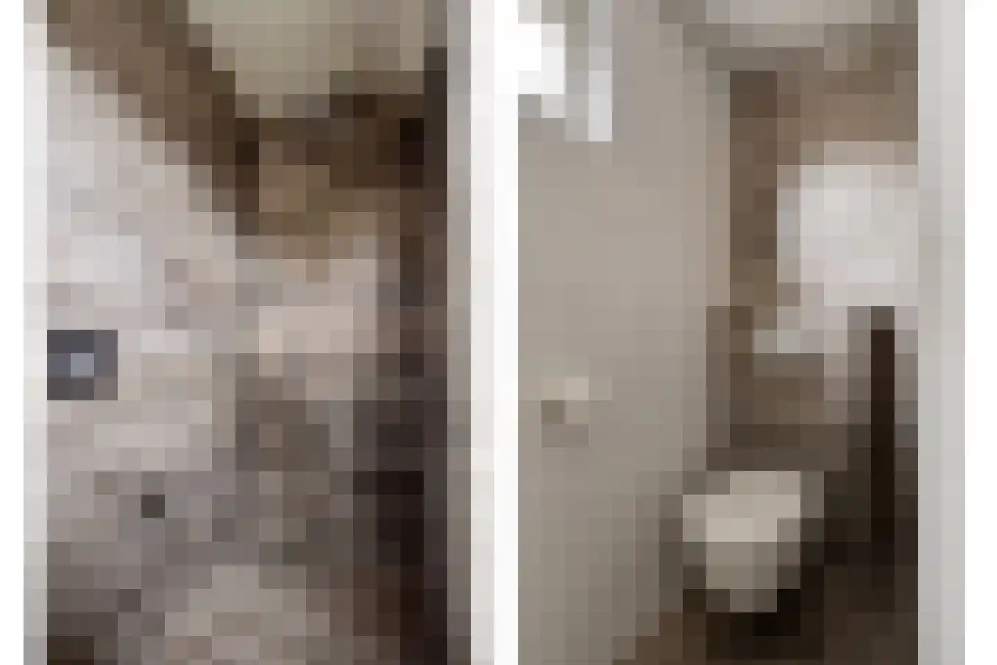 de Wieken 3 Bergeijk thumbnail 24